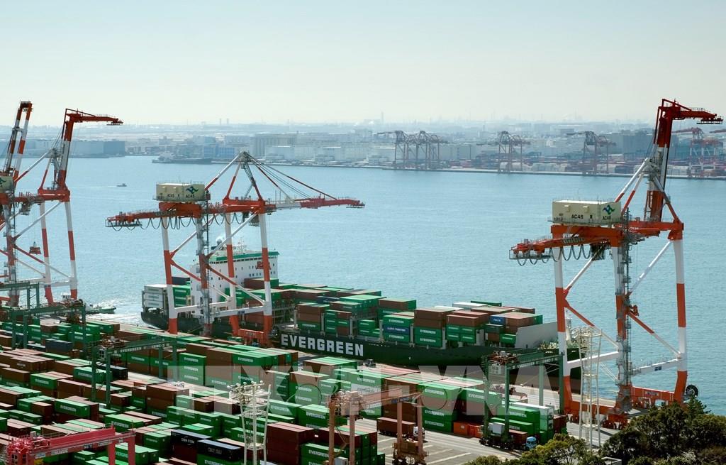 Ngành hàng hải tiếp tục mở nhiều tuyển vận tải container