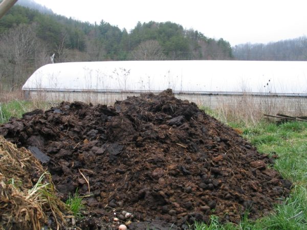 Cách ủ phân đơn giản tại nhà